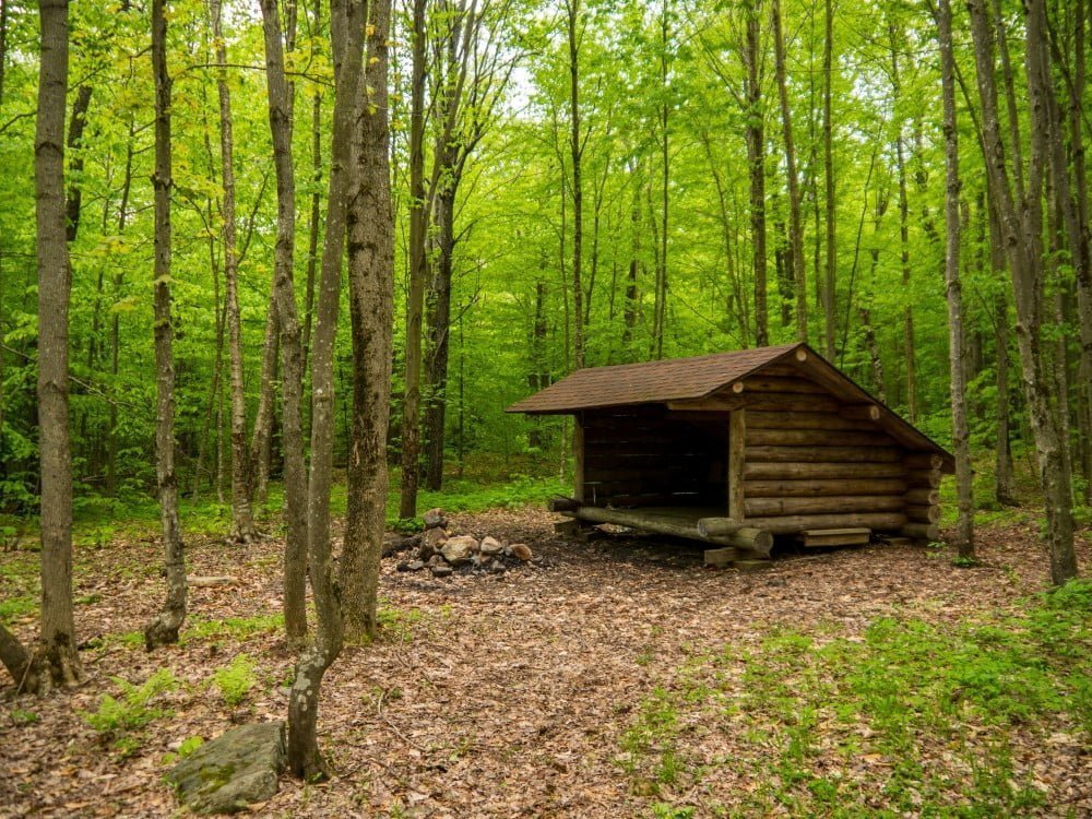 Shelter i skov